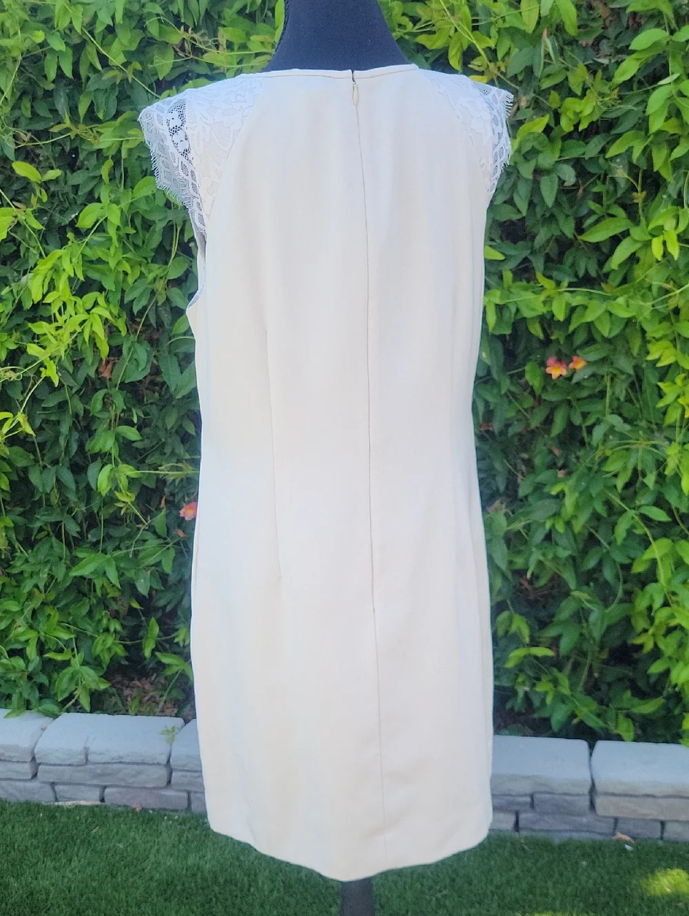 J. Crew Cream Women's Dress With Lace Sleeves Sz  10